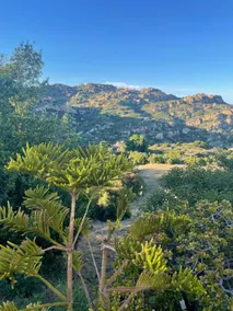 Private 70 Acre Estate w/ Incredible Views/Hot tub - Image 4