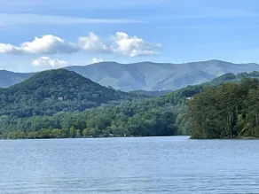 Peaceful 8 Acre Forest Sanctuary Near Lake Chatuge - Image 3