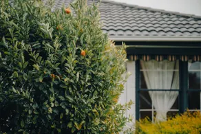 Dandenong Central - Plaza 7min walk, pet friendly! - Image 4