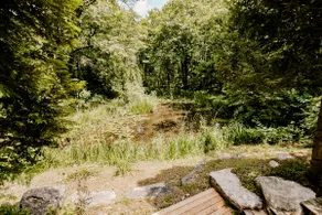 Turtle Grove - Image 4