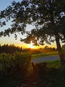 Troidkasten am Grandsberg - Image 4