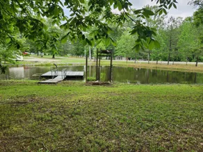 The Pond - Image 3