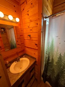 Whispering Woods Cabin 307 - Image 5