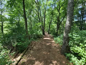 Whispering Woods Cabin 307 - Image 3