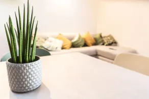 New Luxury Suite Chaligne - Image 3