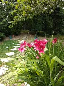 OCEAN HOME & GREAT GARDEN - Image 4