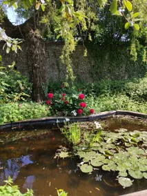 Large family home with enclosed garden – Orne - Image 3