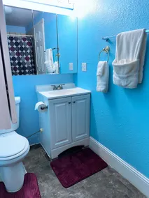 Convenient Walkout Basement Aparment - Image 5