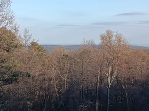 Watt's Retreat at Tom's Cabin - Image 5