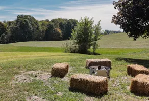 Country Haven - Image 5