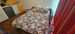 Quiet 2-room apartment, close to the thermal baths - Image 5