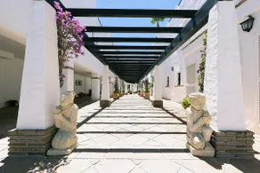 Beach front 3 bedroom apartment in San Pedro - Image 4