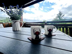 Panoramic view + private parking + 2 balconies + 1.5 bathrooms - Image 3