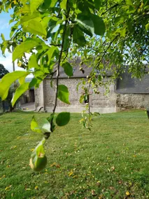 Le Gîte de La Haie Portée - Image 2