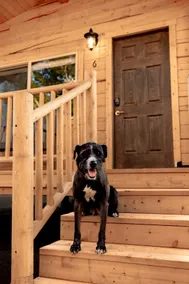 King Cabin - Image 4