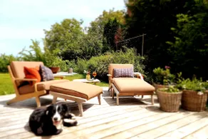 * Country outing and design * - Image 4