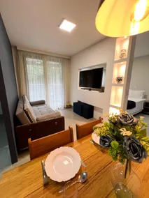 Studio Smart TV 50” swivel PNE/Rio center/Arena - Image 5