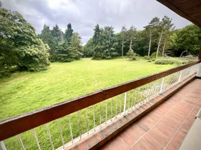 3-bedroom apartment surrounded by nature - Image 5