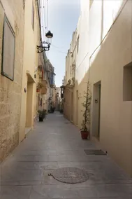 Tonina - Image 3