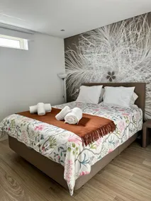Ribeira House - Arouca - Image 2