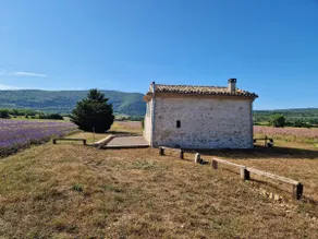 The Hermas barn - Image 4