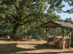 Abissinia: A Jewel in the Woods - Image 4