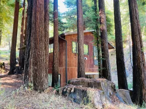 Little House in the Redwoods with hot tub! - Image 4