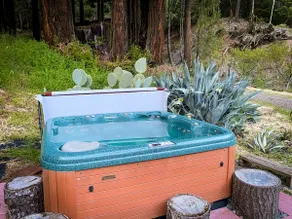 Little House in the Redwoods with hot tub! - Image 5