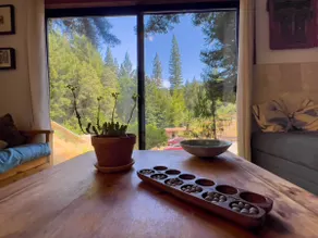 Little House in the Redwoods with hot tub! - Image 3
