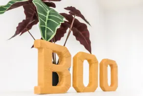 Boo - A/C WEM 5 Mins- Rogers Pl 15 Mins - Arcade - Image 3