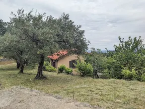 Vergel San Pedro - Image 4