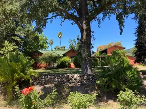 Arches - Olive Grove Cottage - Image 5