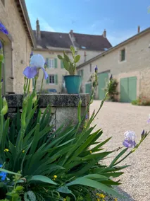 Old renovated farmhouse - Image 3
