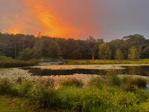 Meadowview & Pondside Retreat - Image 5