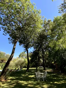 4-bedroom house 5 min from the center of Avignon - Image 4