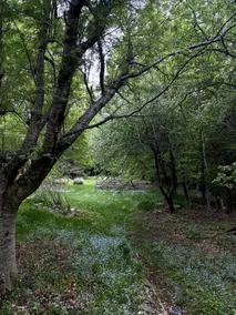 The Artists Cottage - Image 4