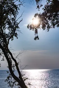 * The Dunes| Lake Huron Beach | Port Austin MI* - Image 5