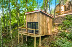 Blue Ridge Parkway / Cabin 2 - Image 2
