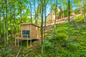 Blue Ridge Parkway / Cabin 2 - Image 4
