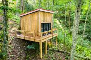 Blue Ridge Parkway / Cabin 2 - Image 5