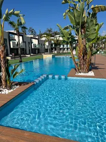 Oasis Beach XII - Casa Lotus - Image 3