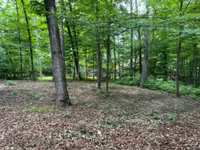 Cozy Cabin On ATV Trail-Boaters Near Chain Lake - Image 2