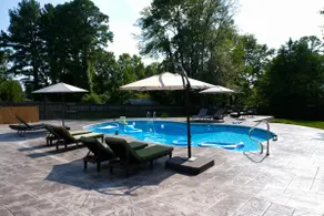 Suburban Paradise: Minutes to DC - Image 2