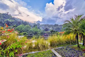 Villa Alinda C05 by Kava Stay - Image 5