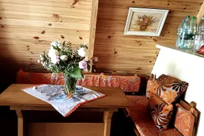 Cottage in a pine forest, Mazovia - Image 4