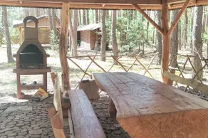 Cottage in a pine forest, Mazovia - Image 2