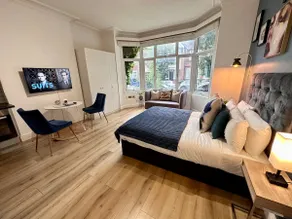Stylish comfortable studio in London, Zone 3 - Image 4