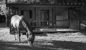 Chalet with garden and swimming pool. - Image 3