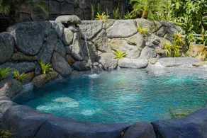 Jungle Escape - 1 BR Villa with Private Pool - Image 4