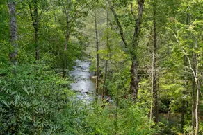 Roaring Waters Retreat - Image 1